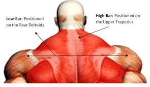 bar height 3