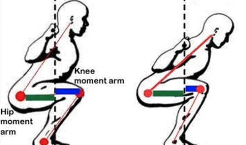 squat 5