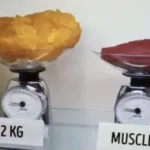 How to lose more fat?